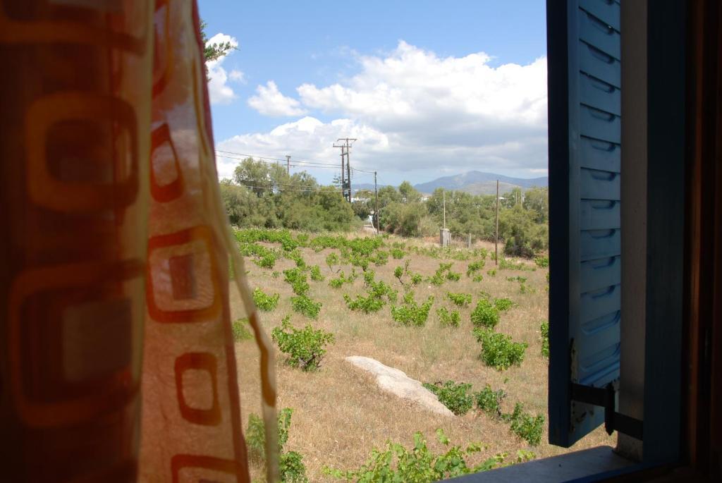 Koulas Pension - Red Lake Agios Prokopios  Room photo